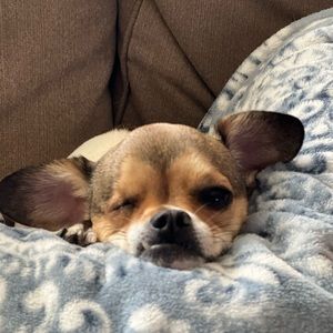 Meet your Posher, Krista